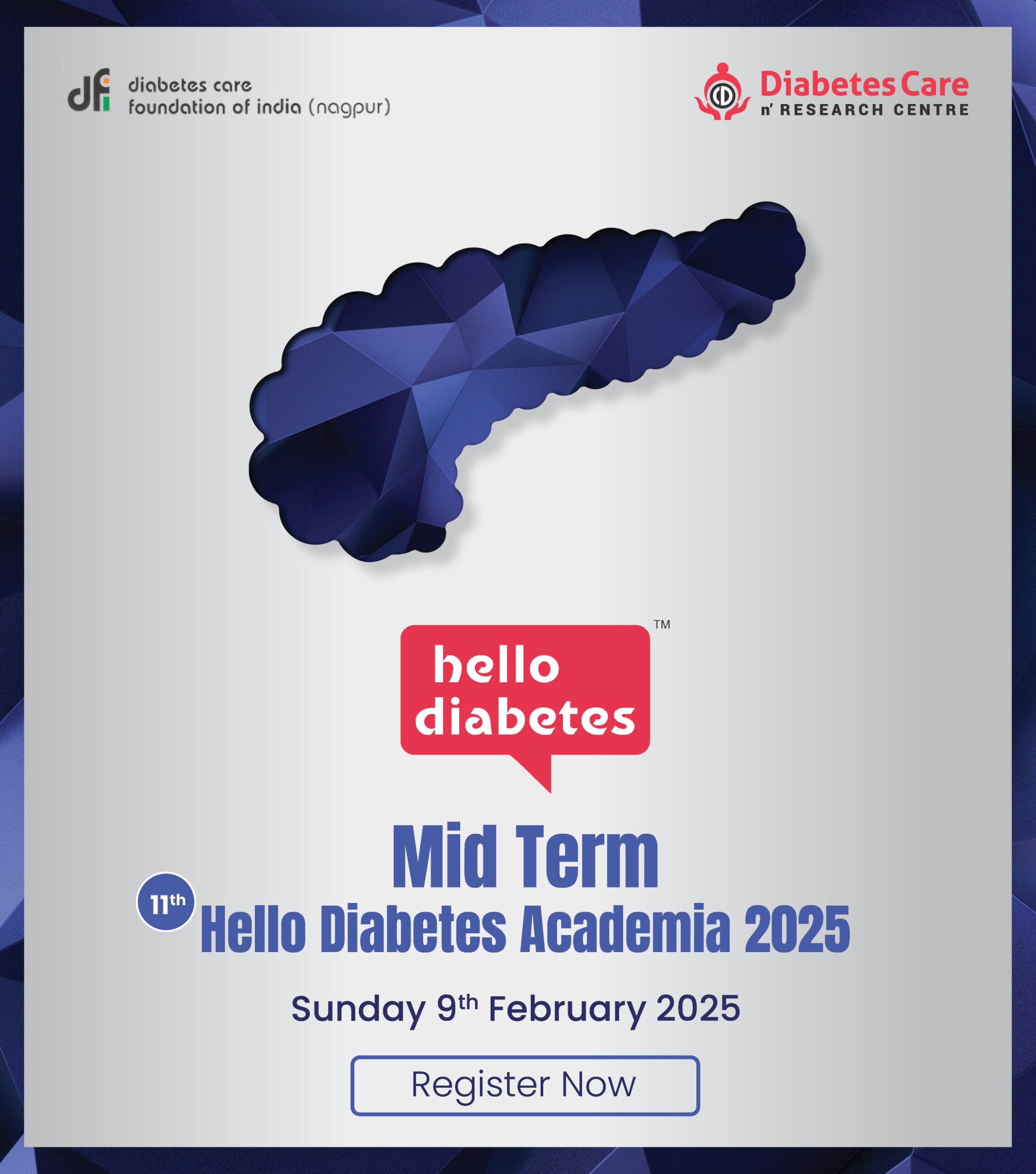 Mid Term Hello Diabetes Academia 2025